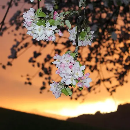 Auszeit Chalet Walchsee