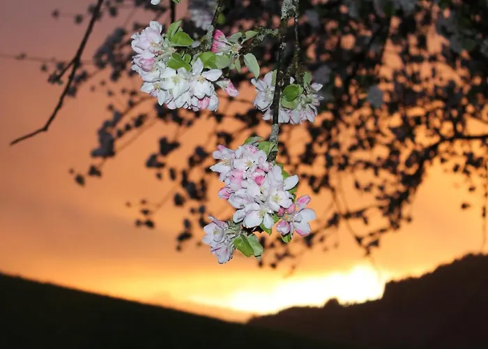 Auszeit Chalet Walchsee